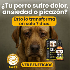 PET HEMP OMEGA™  Previene problemas y mejora su vida en solo 7 días